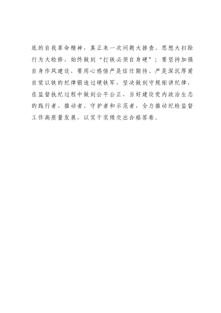 国有企业纪委书记在纪检干部队伍教育整顿检视整治推进会上的讲话.docx,第3页预览