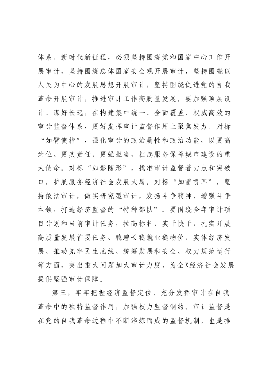 在X审计委员会第X次会议上的讲话提纲.docx,第3页预览