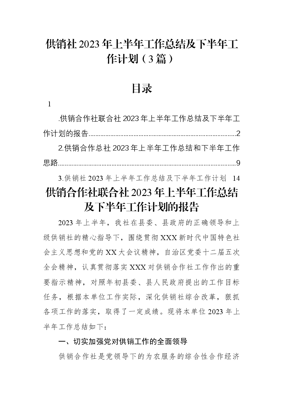 (3篇)供销社2023年上半年工作总结及下半年工作计划.docx,第1页预览