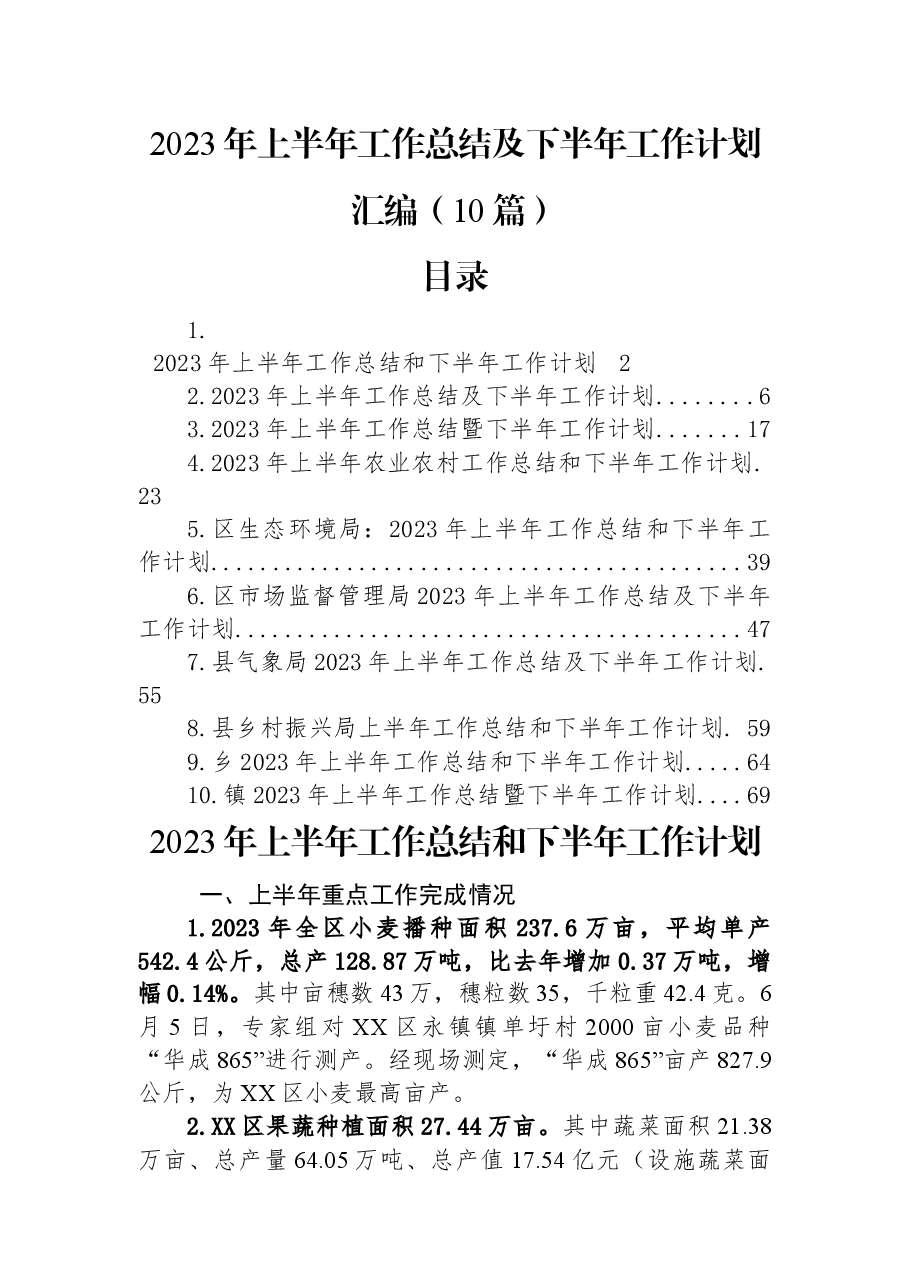 （10篇）2023年上半年工作总结及下半年工作计划汇编.docx，第1页预览