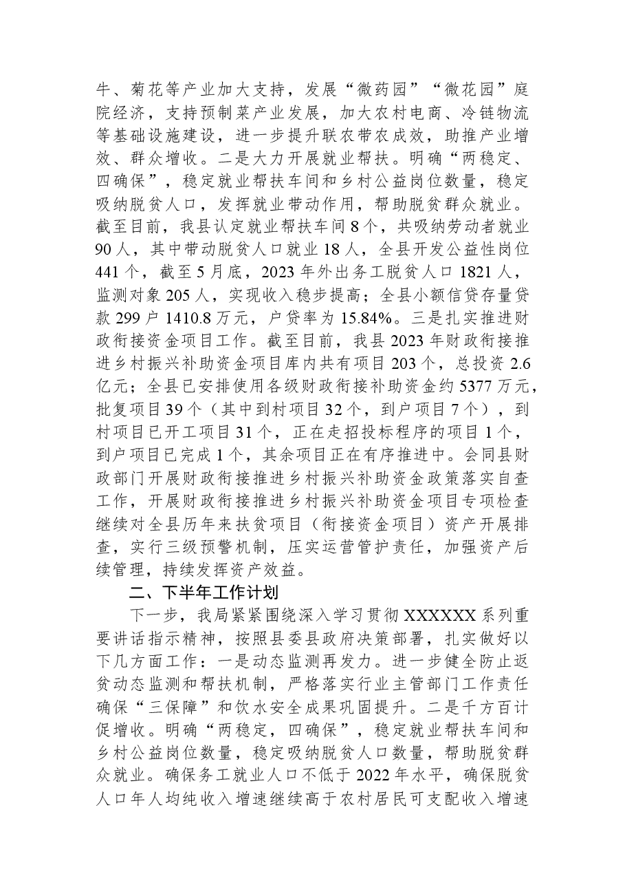县乡村振兴局2023年上半年工作总结和下半年工作计划.docx,第3页预览