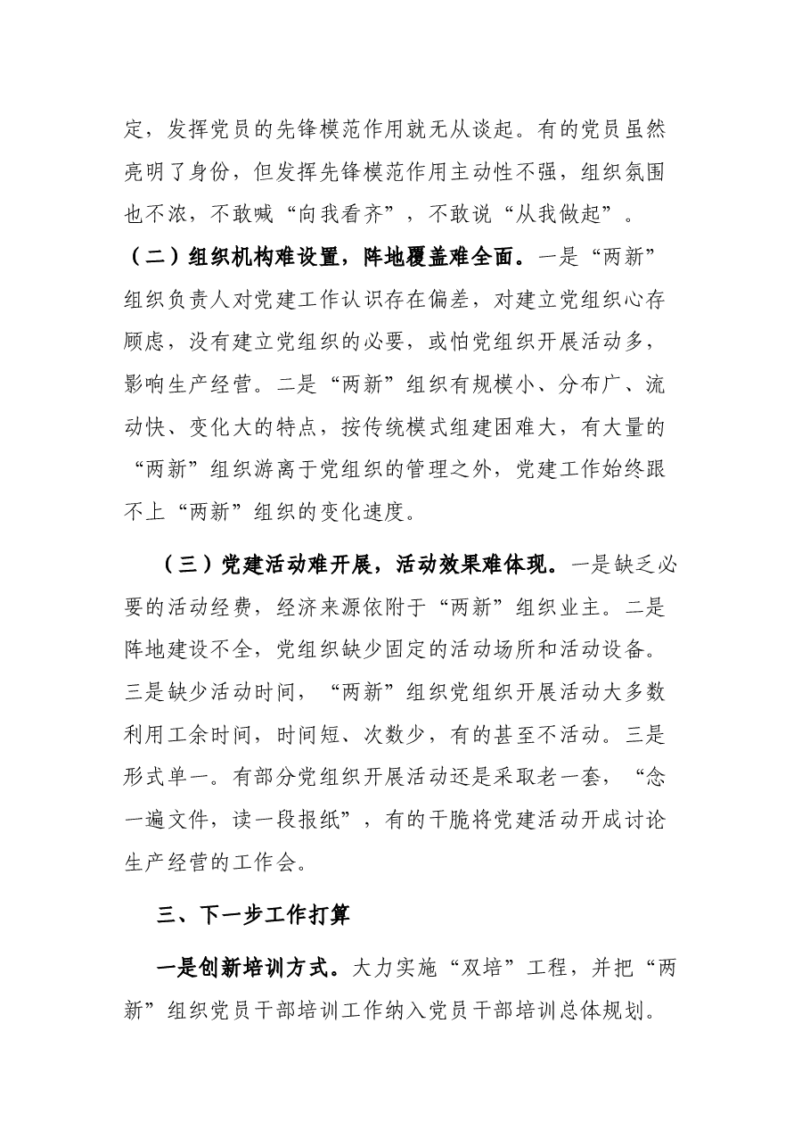 街道2023年度“两新”组织党建工作情况报告.docx,第4页预览