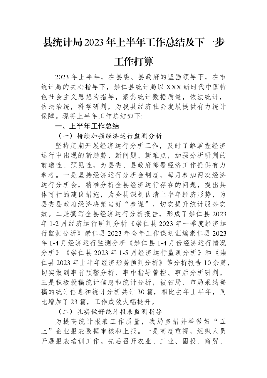 县统计局2023年上半年工作总结及下一步工作打算.docx,第1页预览