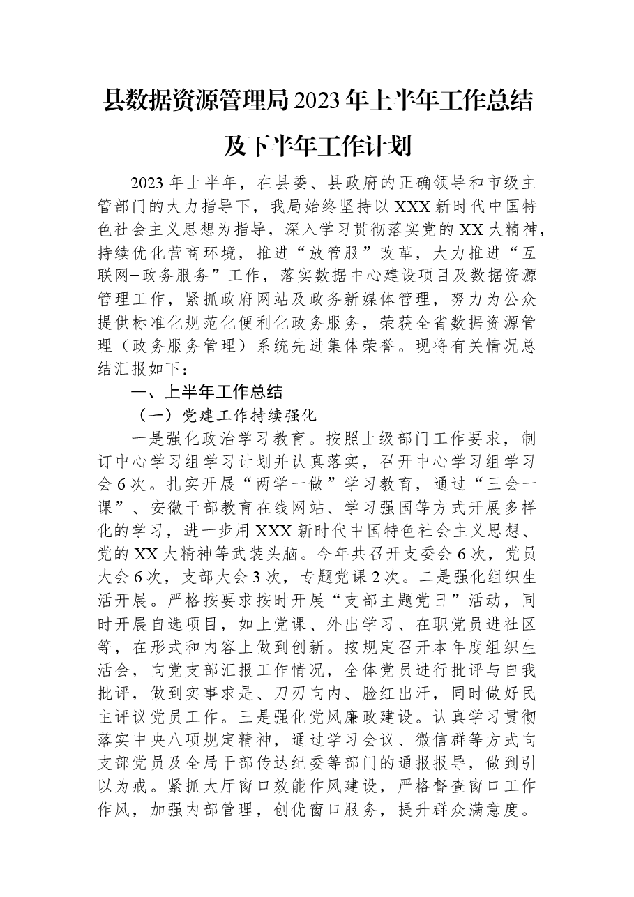 县数据资源管理局2023年上半年工作总结及下半年工作计划.docx,第1页预览