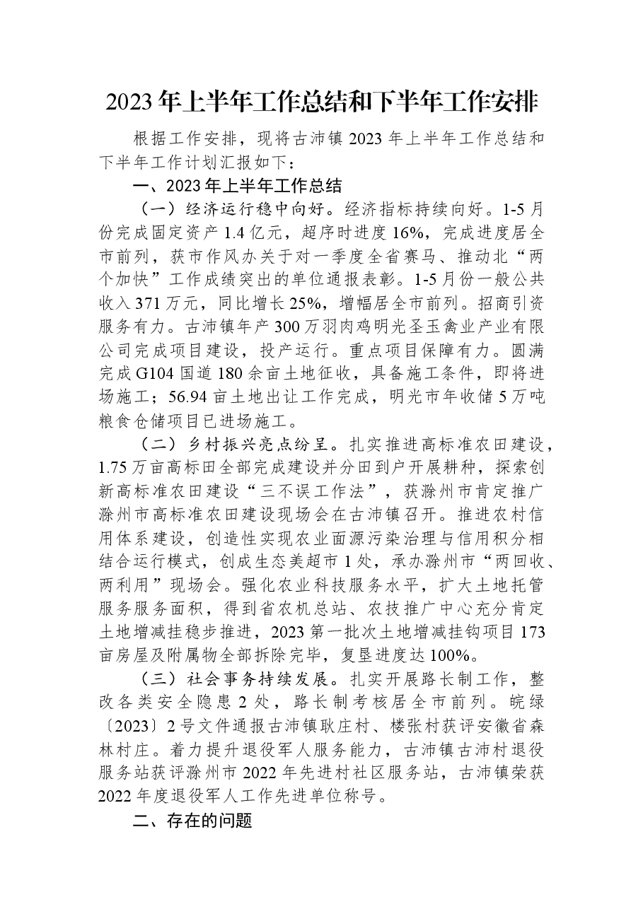 2023年上半年工作总结和下半年工作安排.docx,第1页预览