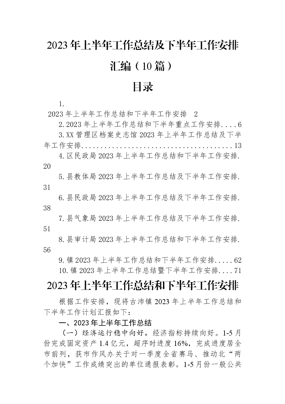 (10篇)2023年上半年工作总结及下半年工作安排汇编.docx,第1页预览