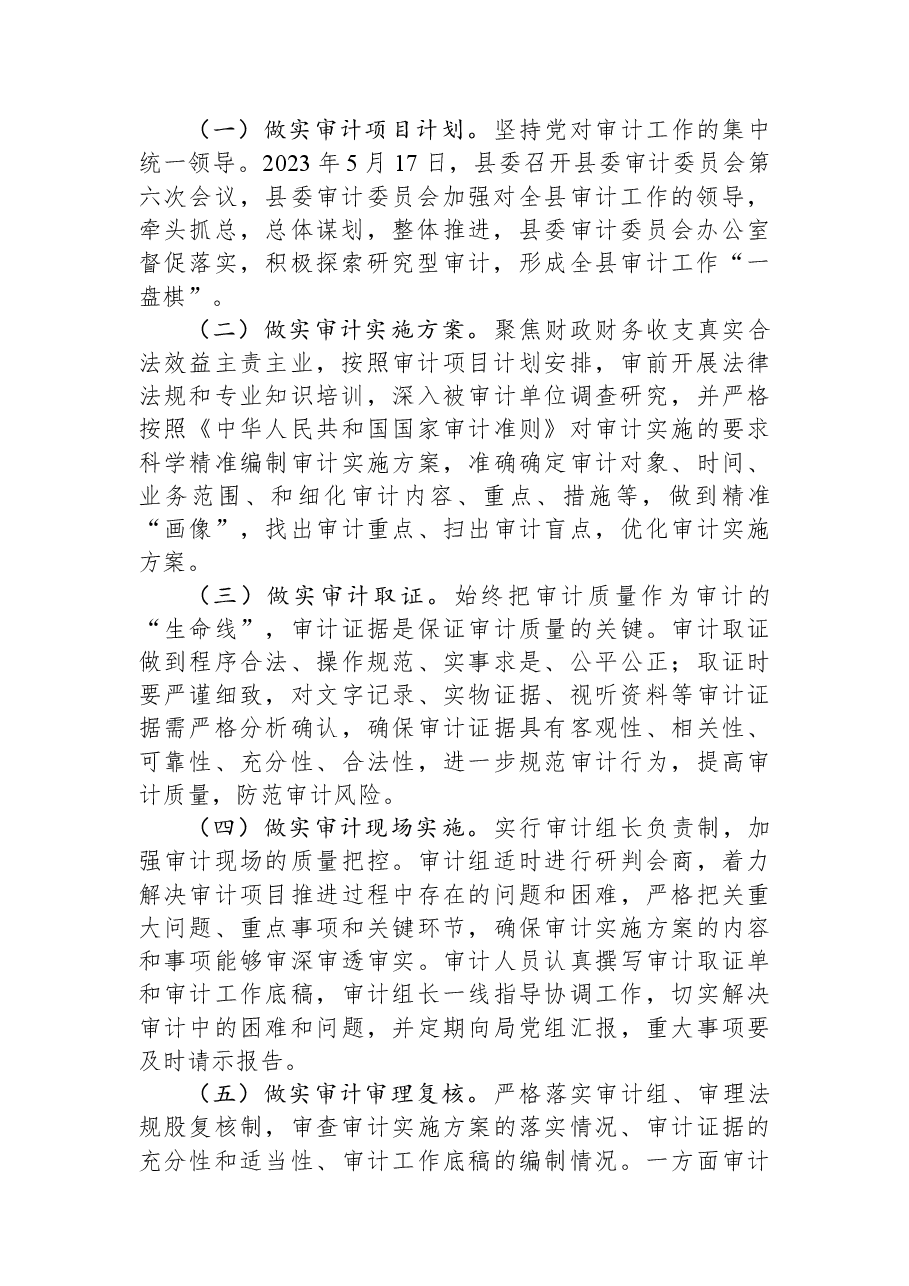 县审计局2023年上半年工作总结和下半年工作安排.docx,第2页预览