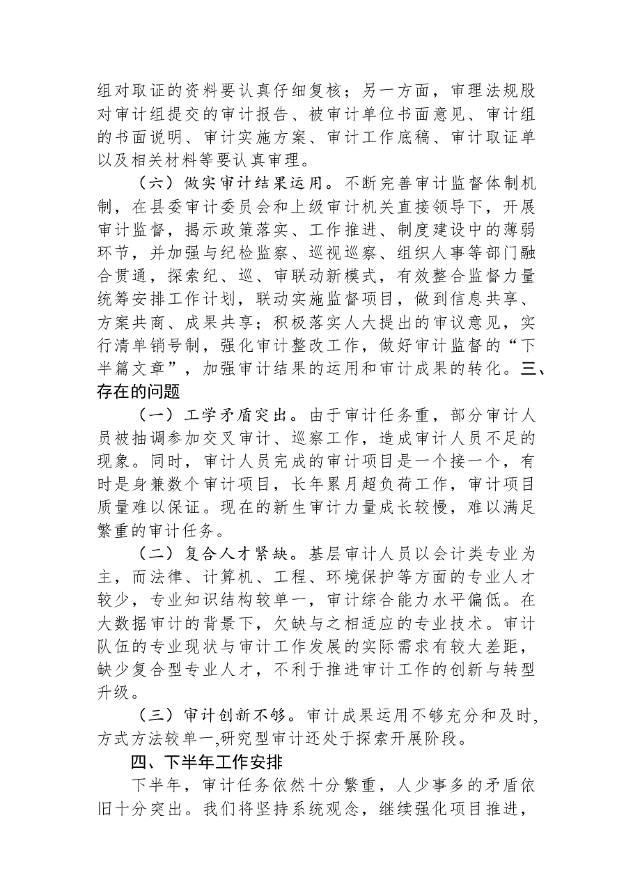 县审计局2023年上半年工作总结和下半年工作安排.docx,第3页预览