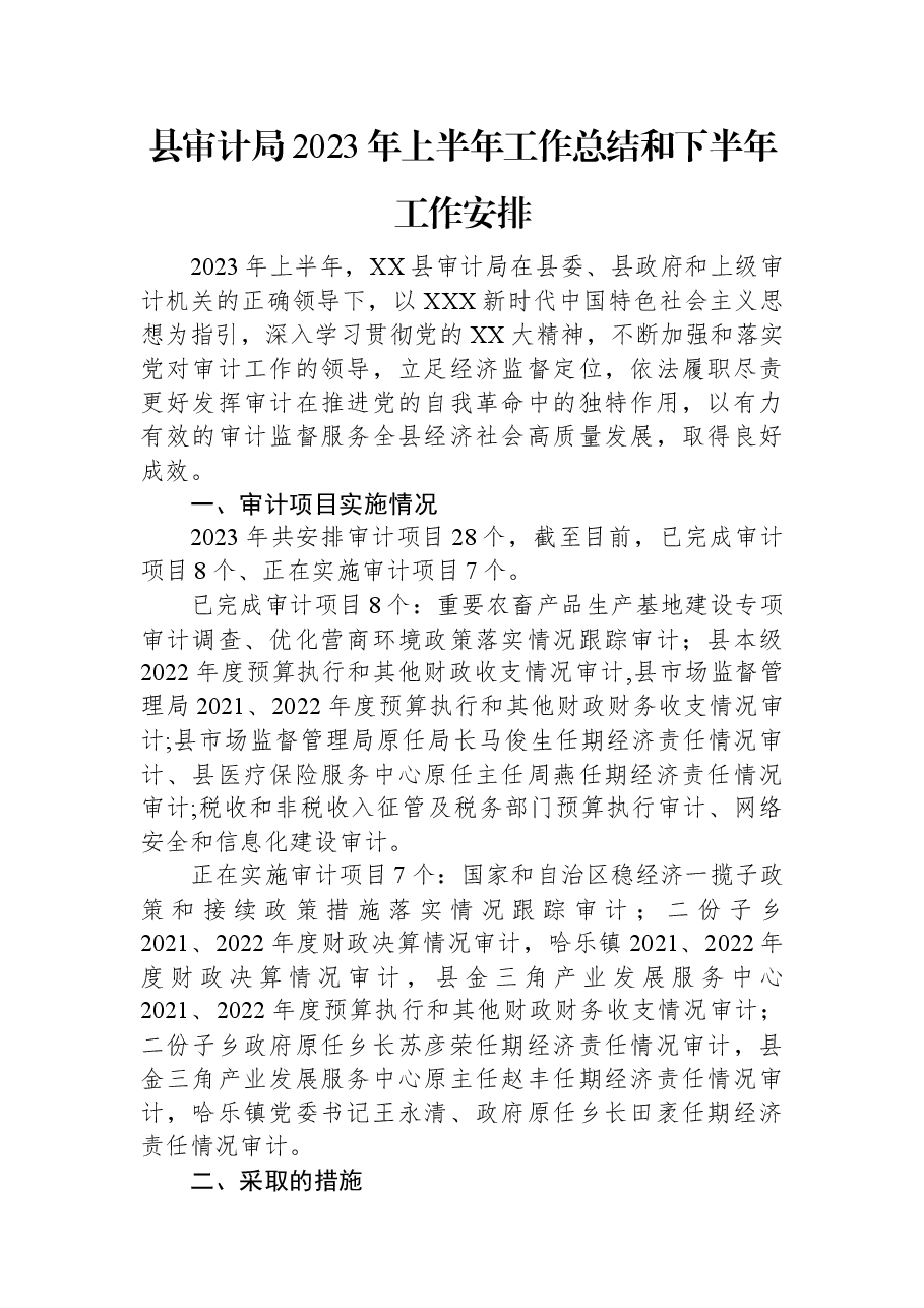 县审计局2023年上半年工作总结和下半年工作安排.docx,第1页预览