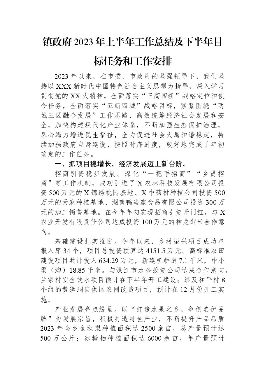 镇政府2023年上半年工作总结及下半年目标任务和工作安排.docx,第1页预览