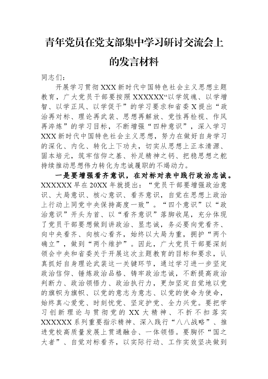 青年党员在党支部集中学习研讨交流会上的发言材料.docx,第1页预览