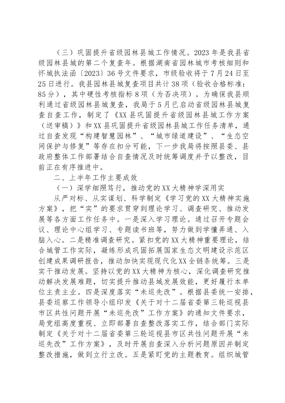 2023年半年工作总结和下半年工作计划.docx，第2页预览