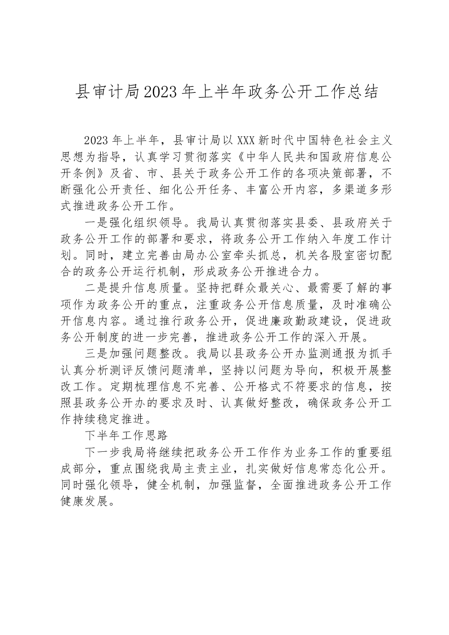 县审计局2023年上半年政务公开工作总结.docx,第1页预览