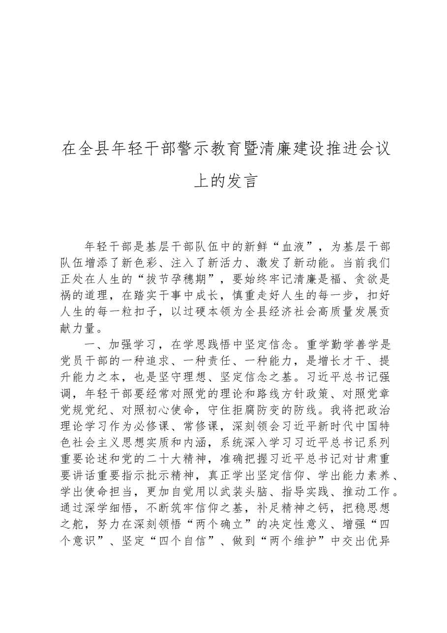 在全县年轻干部警示教育暨清廉建设推进会议上的发言.docx,第1页预览