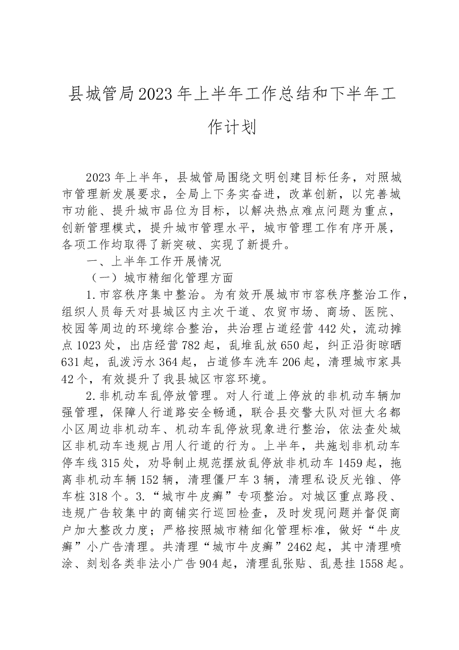 县城管局2023年上半年工作总结和下半年工作计划.docx,第1页预览