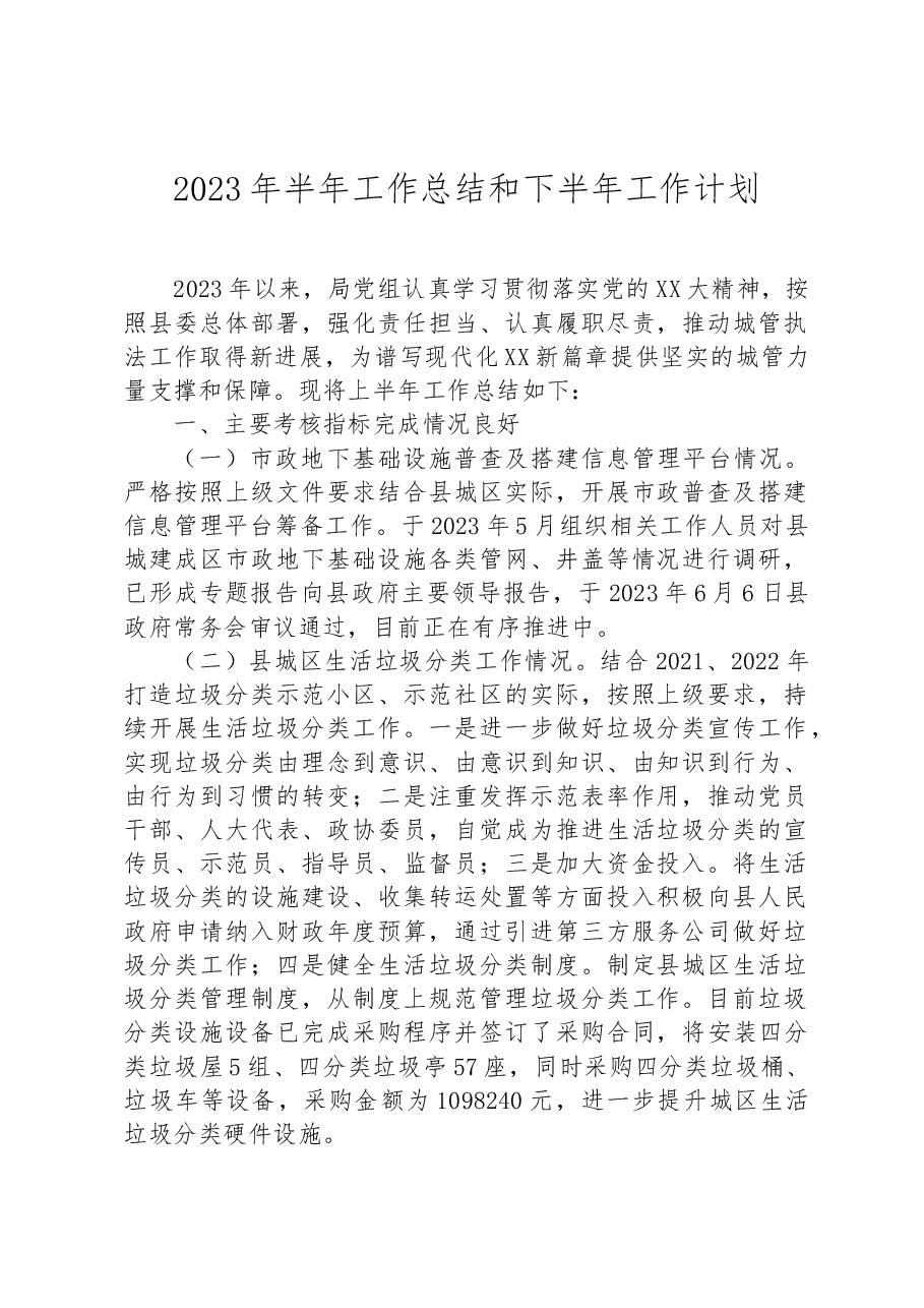 2023年半年工作总结和下半年工作计划.docx，第1页预览
