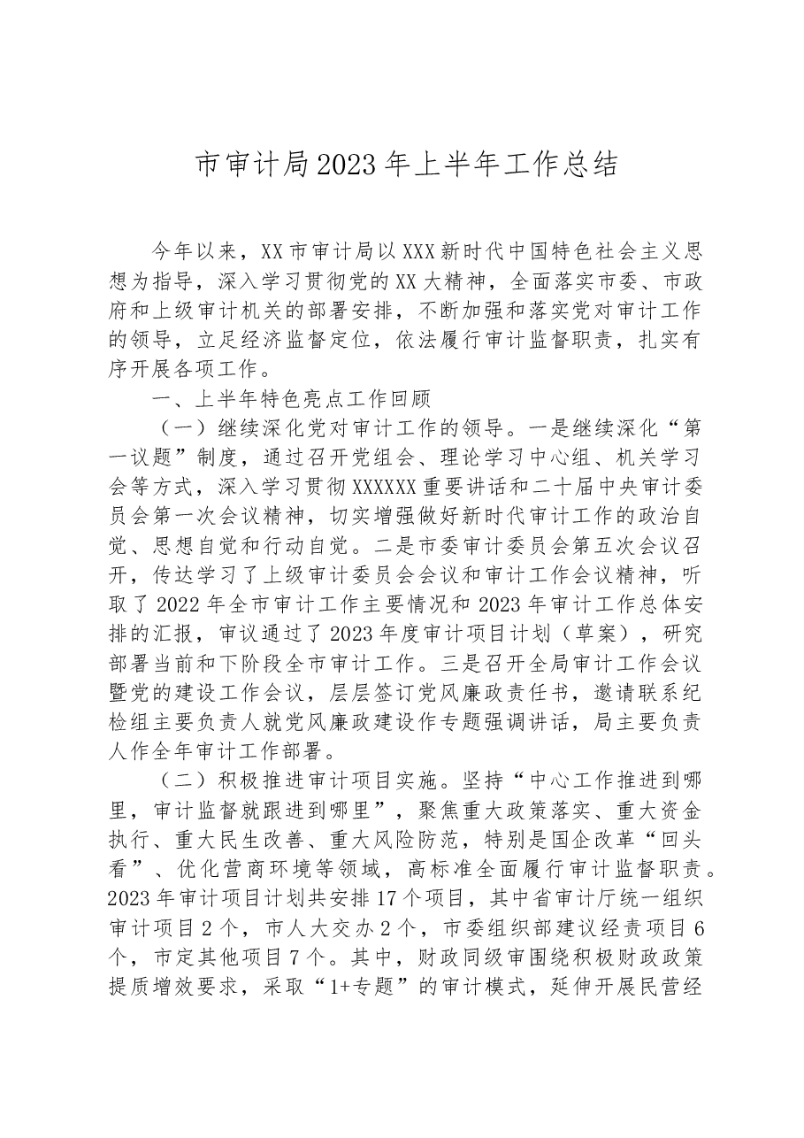 市审计局2023年上半年工作总结.docx,第1页预览
