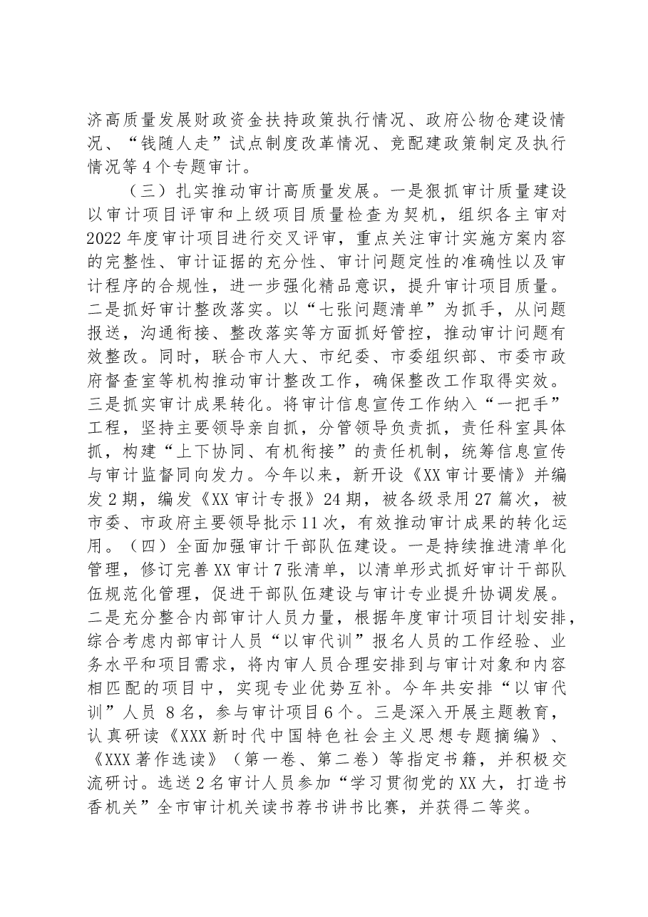 市审计局2023年上半年工作总结.docx,第2页预览