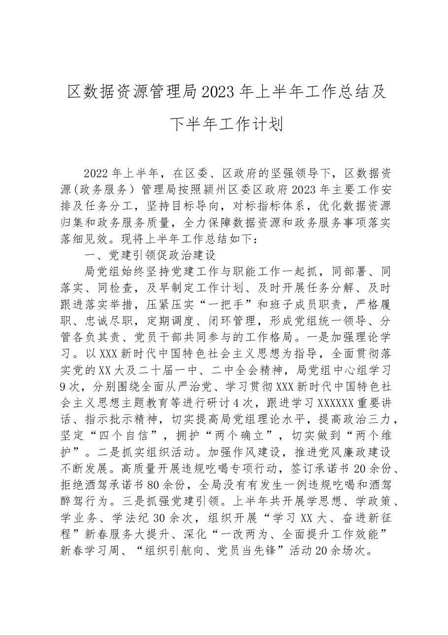 区数据资源管理局2023年上半年工作总结及下半年工作计划.docx,第1页预览