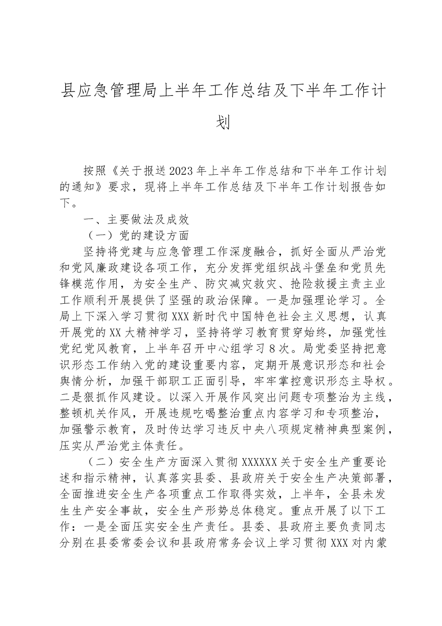 县应急管理局上半年工作总结及下半年工作计划.docx，第1页预览