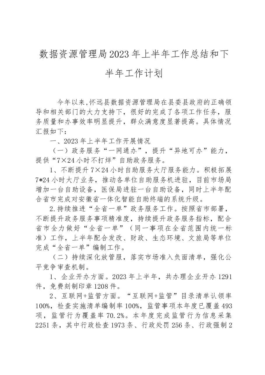 数据资源管理局2023年上半年工作总结和下半年工作计划.docx，第1页预览