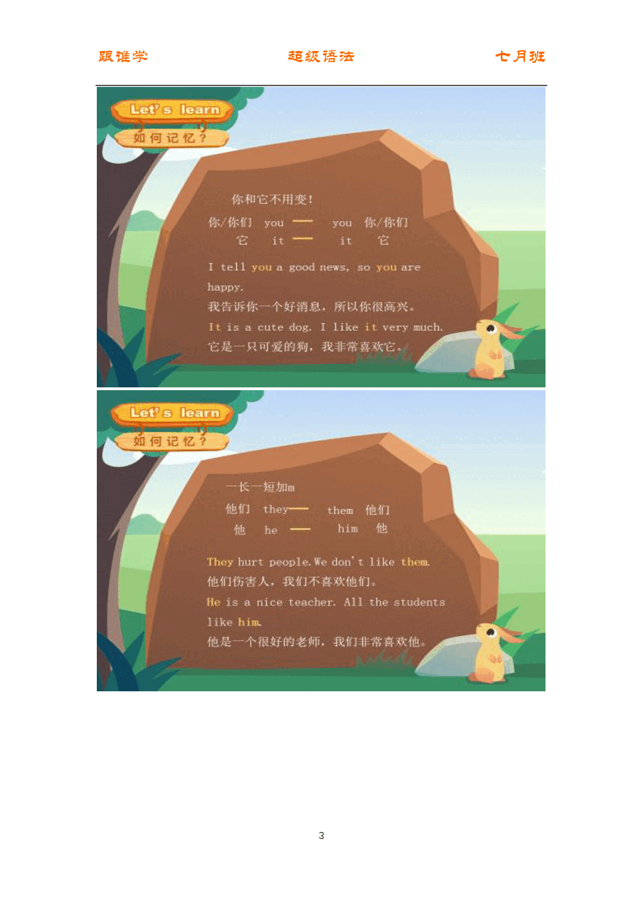 初中英语语法精讲:代词4 复习课.pdf,第3页预览