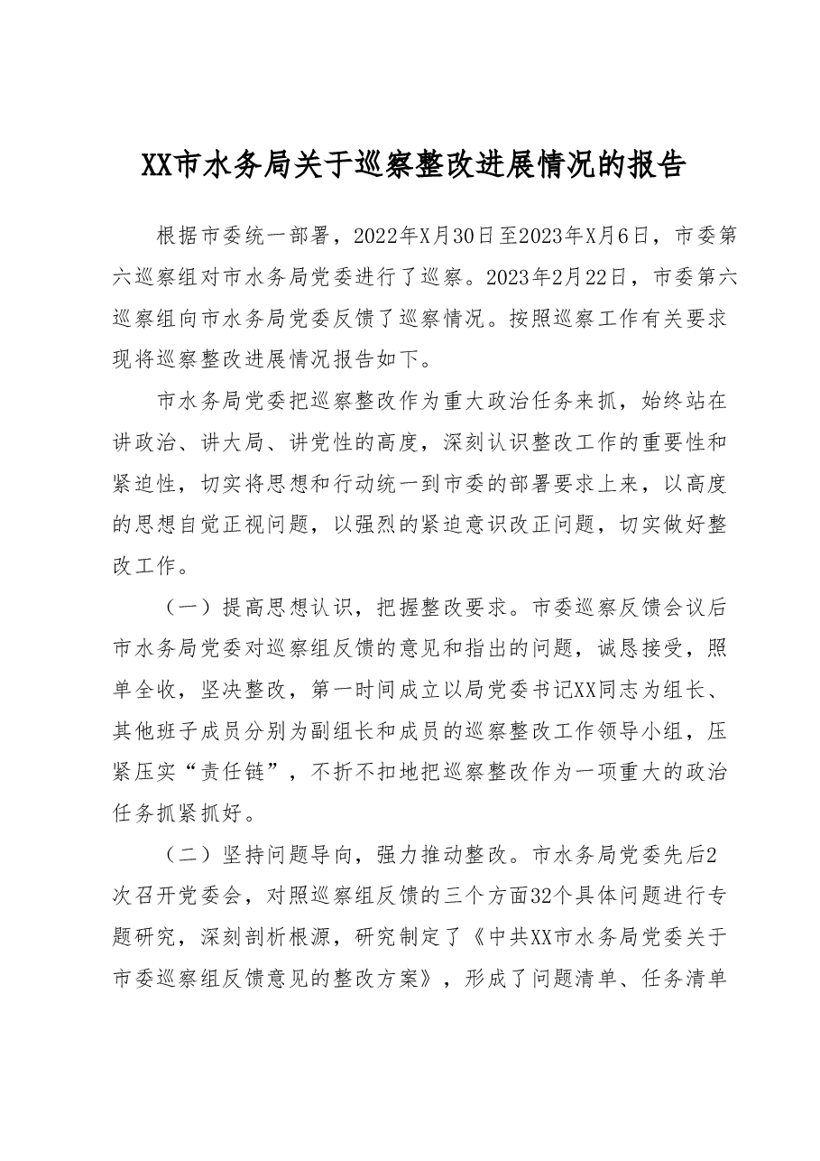 XX市水务局关于巡察整改进展情况的报告.docx,第1页预览