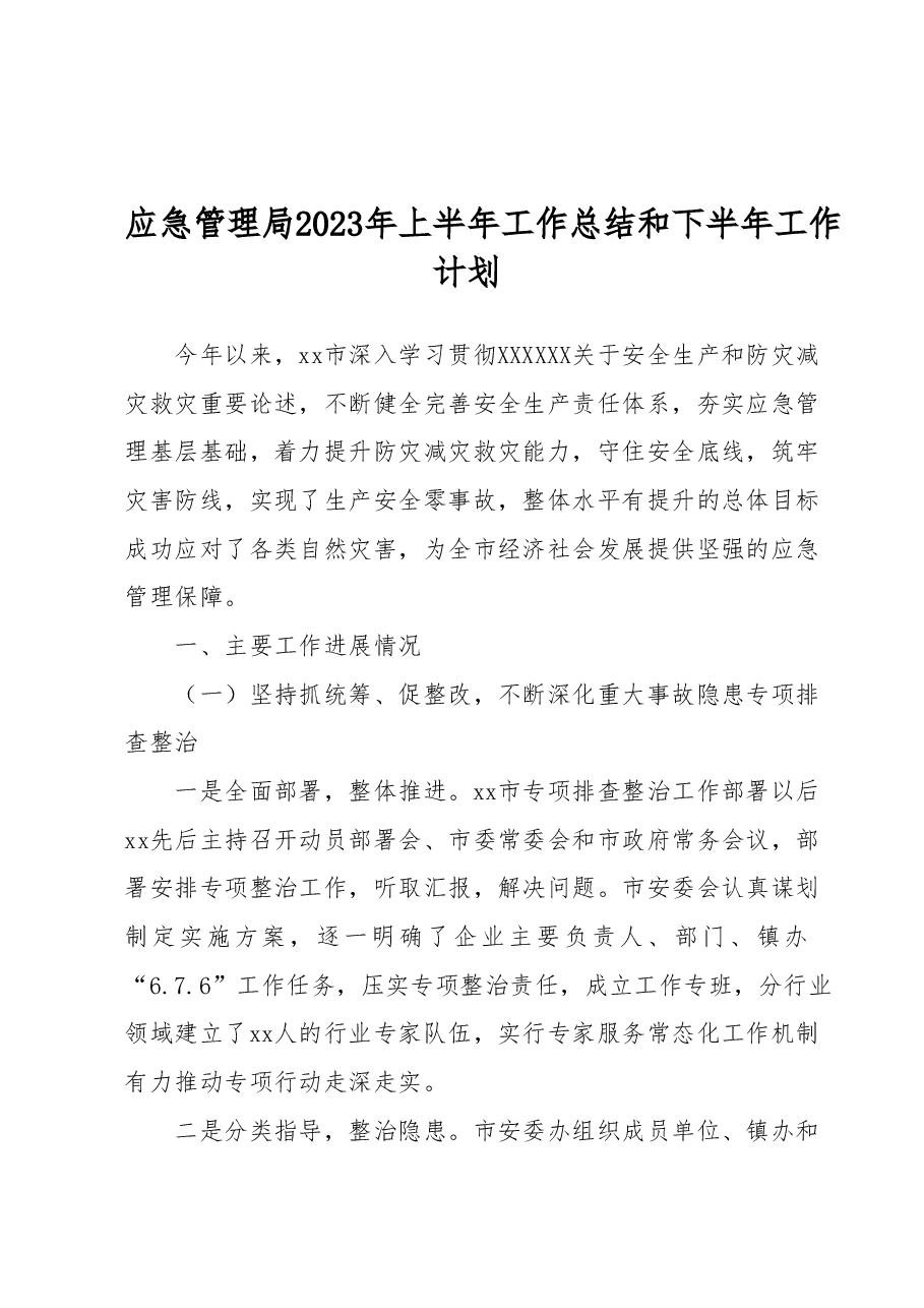 应急管理局2023年上半年工作总结和下半年工作计划.docx,第1页预览