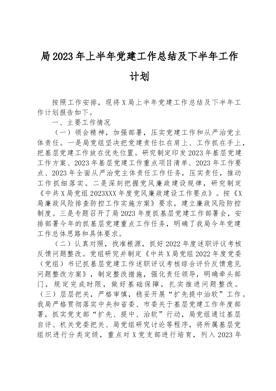 局2023年上半年党建工作总结及下半年工作计划.docx,第1页预览
