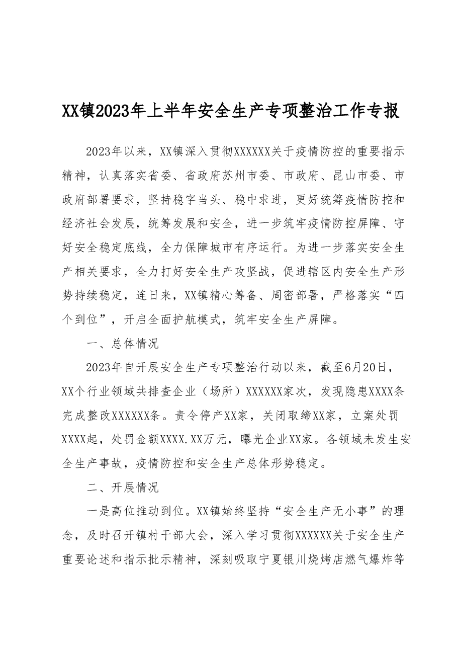 XX镇2023年上半年安全生产专项整治工作专报.docx,第1页预览