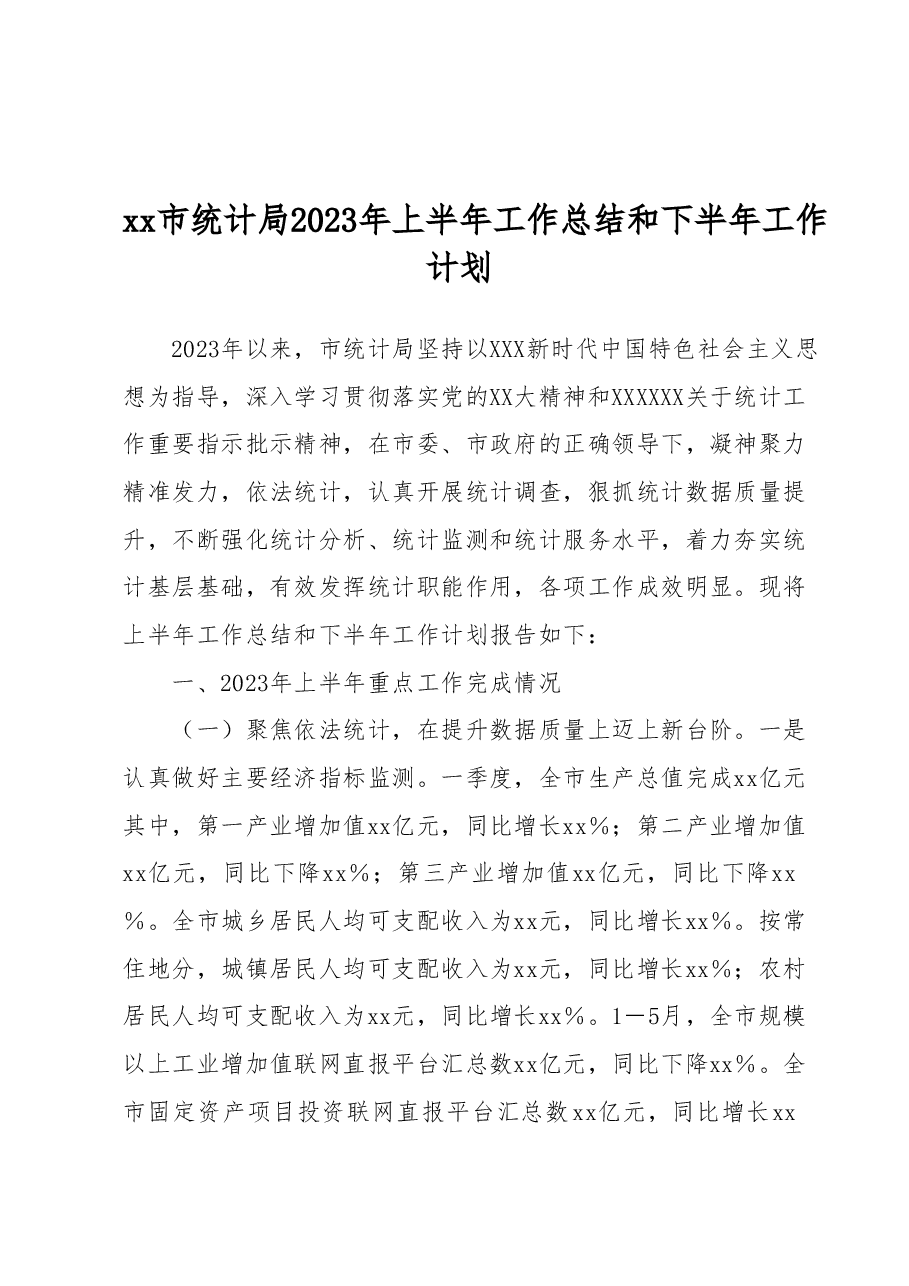 xx市统计局 2023年上半年工作总结和下半年工作计划.docx,第1页预览