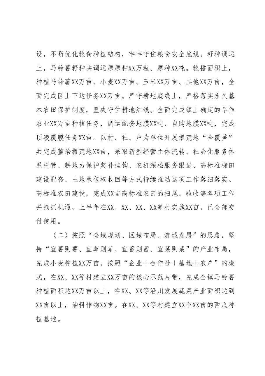 xx乡(镇)政府2023年上半年工作总结.docx,第3页预览
