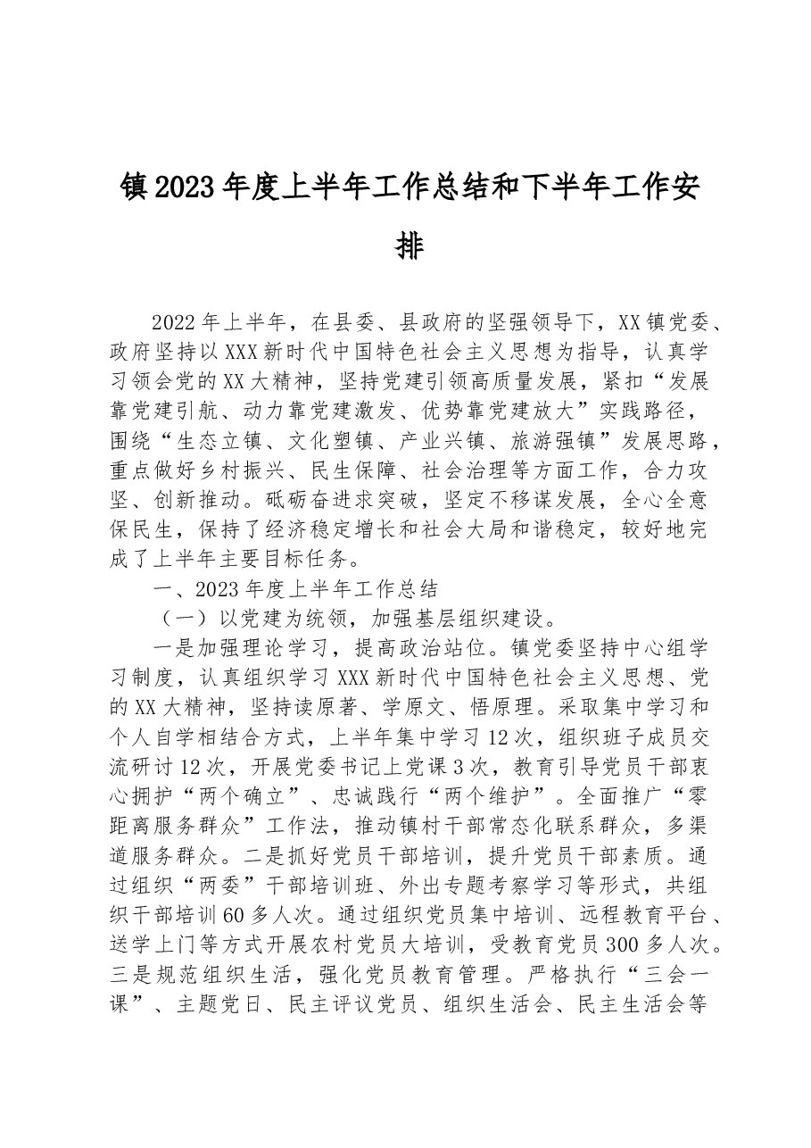 镇2023年度上半年工作总结和下半年工作安排.docx,第1页预览