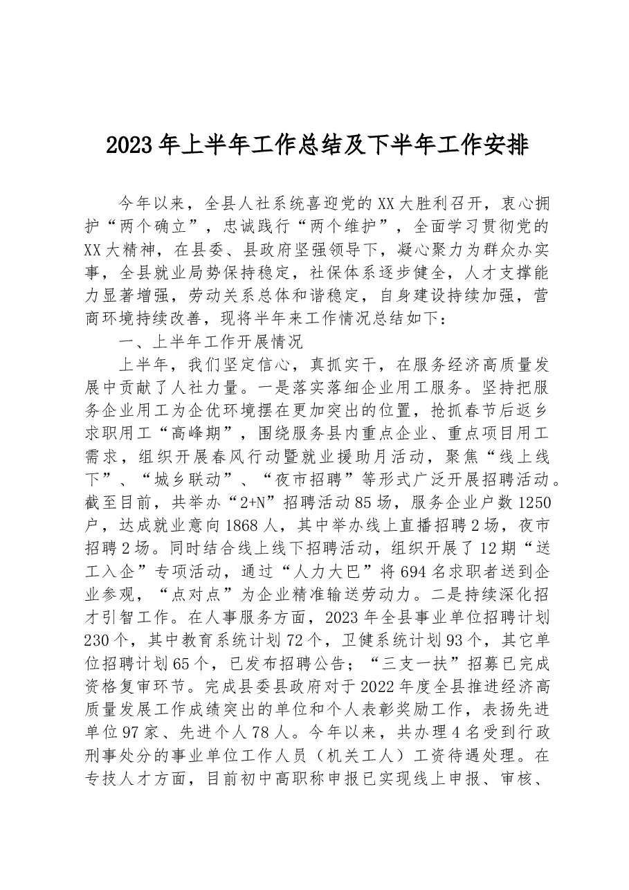 2023年上半年工作总结及下半年工作安排.docx,第1页预览