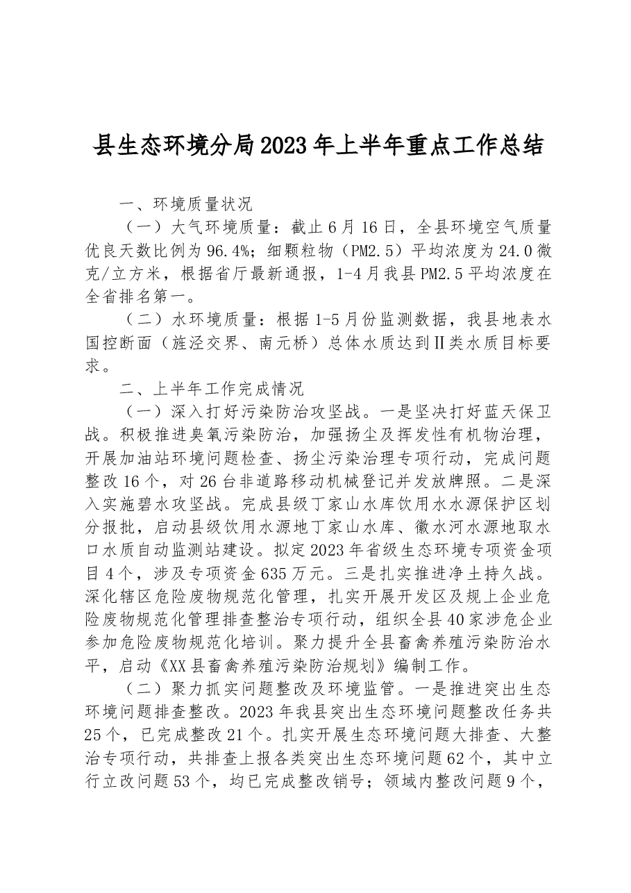 县生态环境分局2023年上半年重点工作总结.docx,第1页预览