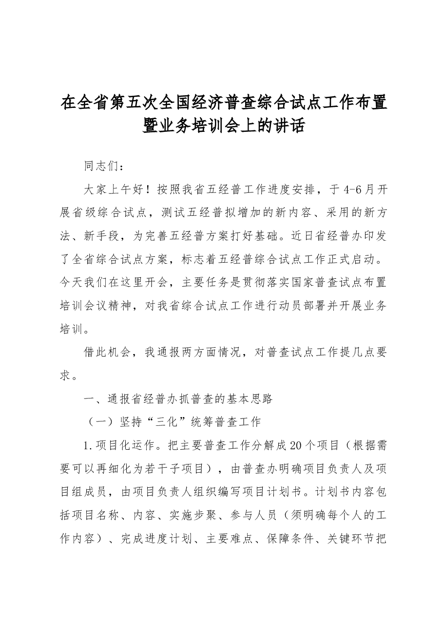 在全省第五次全国经济普查综合试点工作布置暨业务培训会上的讲话.docx，第1页预览