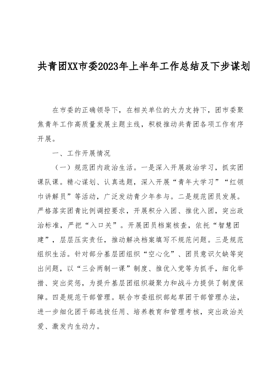 共青团XX市委2023年上半年工作总结及下步谋划.docx,第1页预览