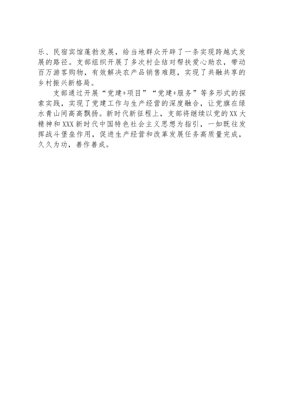 党支部党建赋能经验做法.docx，第4页预览