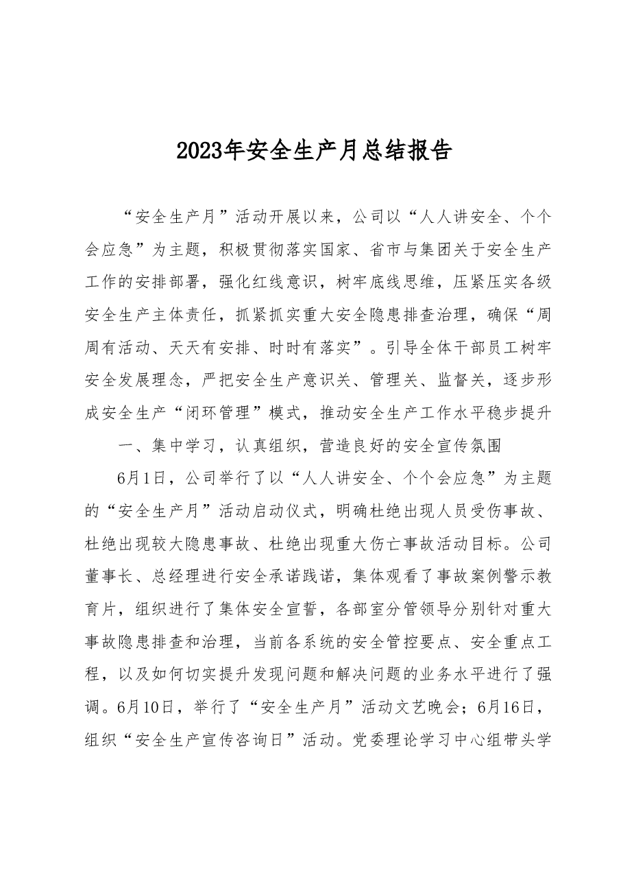 2023年公司安全生产月总结报告.docx,第1页预览