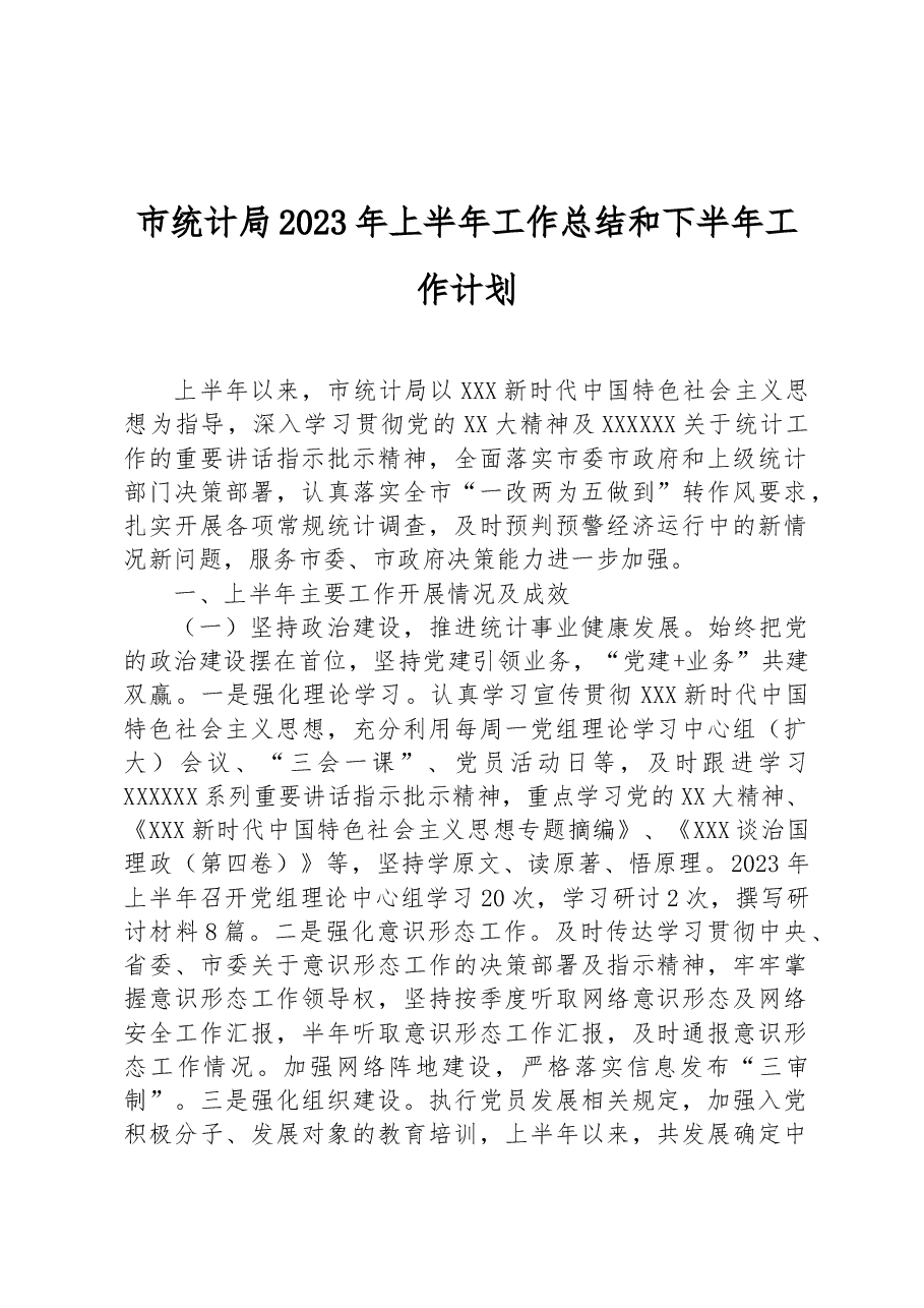 市统计局2023年上半年工作总结和下半年工作计划.docx,第1页预览