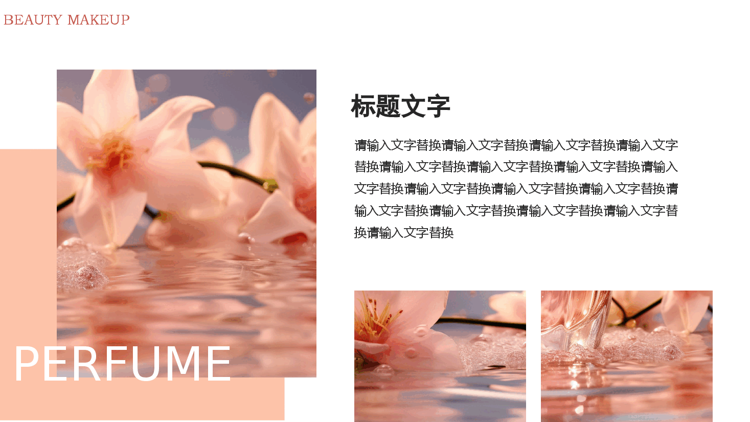 时尚风美妆产品宣传营销PPT模板.pptx,第4页预览