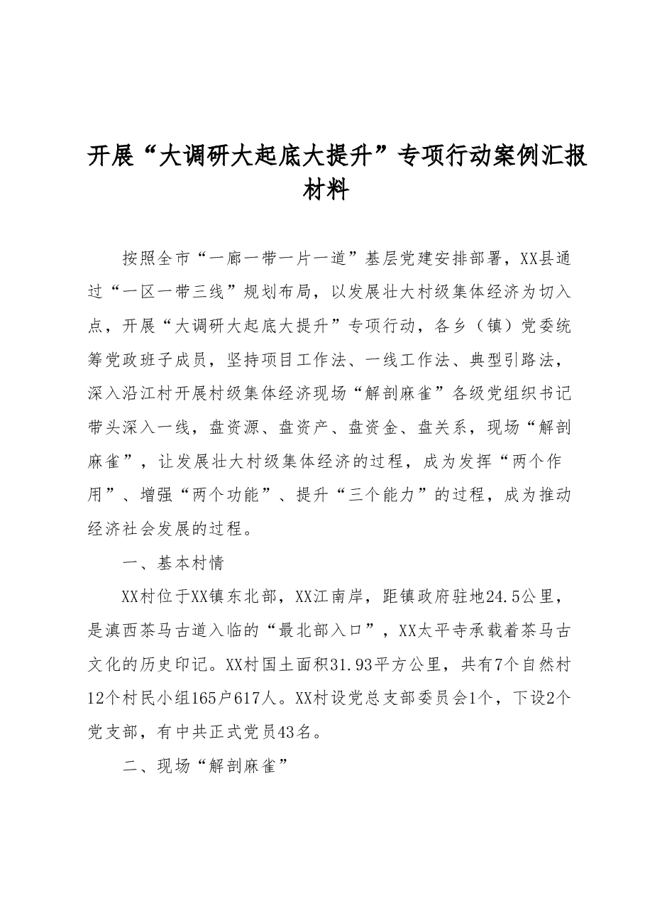 开展 “大调研大起底大提升”专项行动案例汇报材料.docx,第1页预览