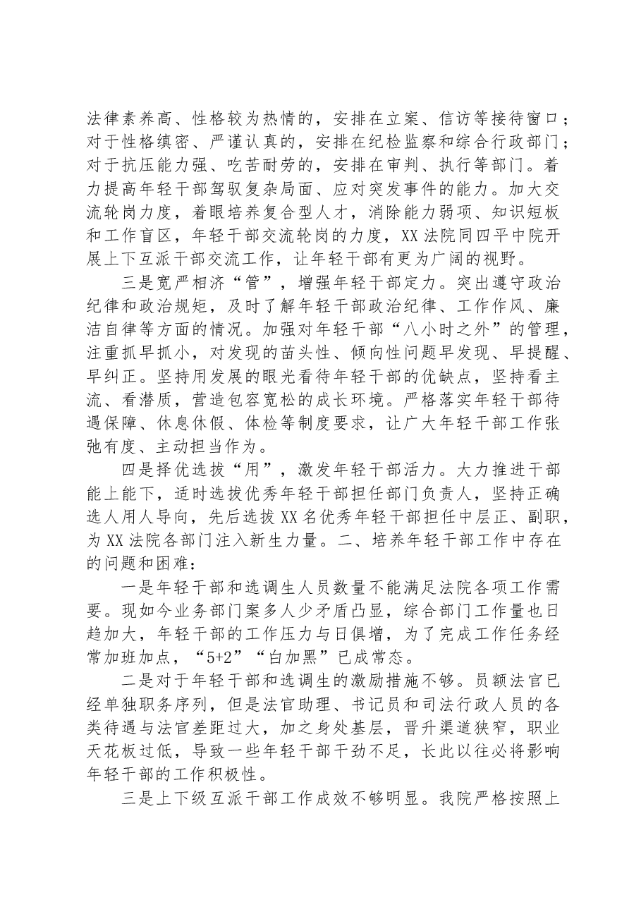 法院青年干部队伍建设调研报告.docx，第2页预览