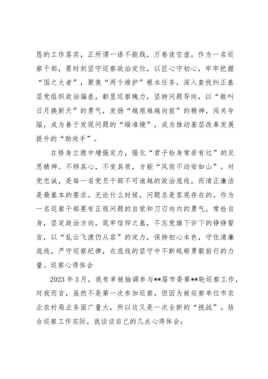 (3篇)巡察心得体会.docx,第2页预览