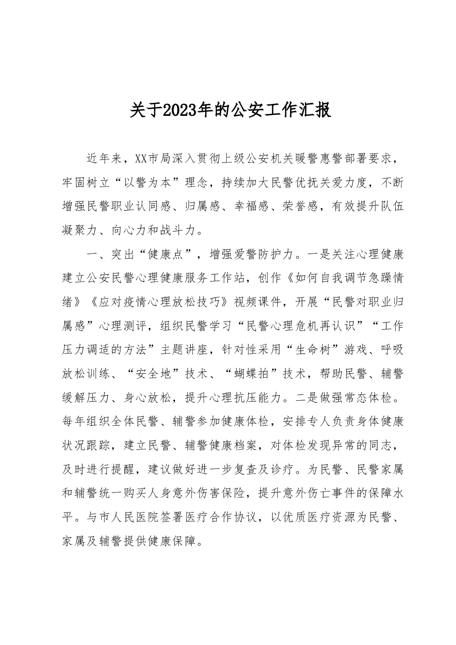 关于2023年的公安工作汇报.docx,第1页预览