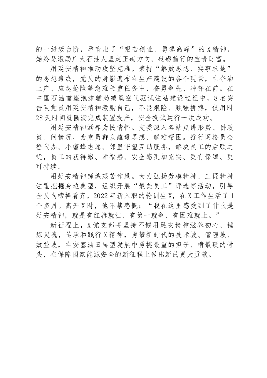 国企公司党支部经验总结交流(延安精神).docx,第4页预览