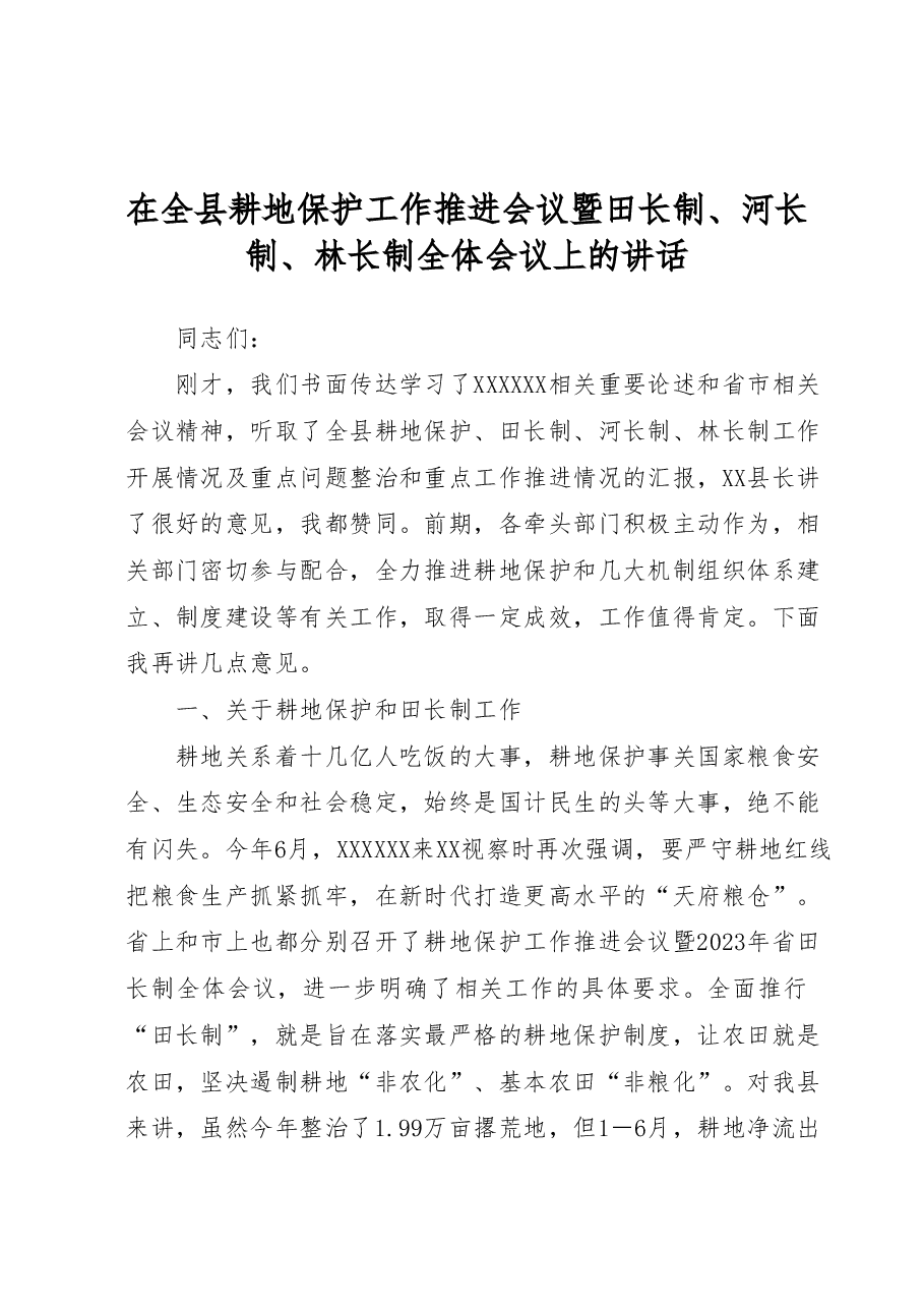 在全县耕地保护工作推进会议暨田长制、河长制、林长制全体会议上的讲话.docx,第1页预览