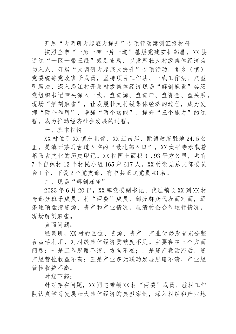 开展“大调研大起底大提升”专项行动案例汇报材料.docx,第1页预览