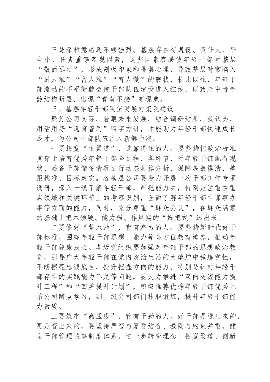 调研报告:某国企基层年轻干部队伍现状分析及对策建议.docx,第4页预览