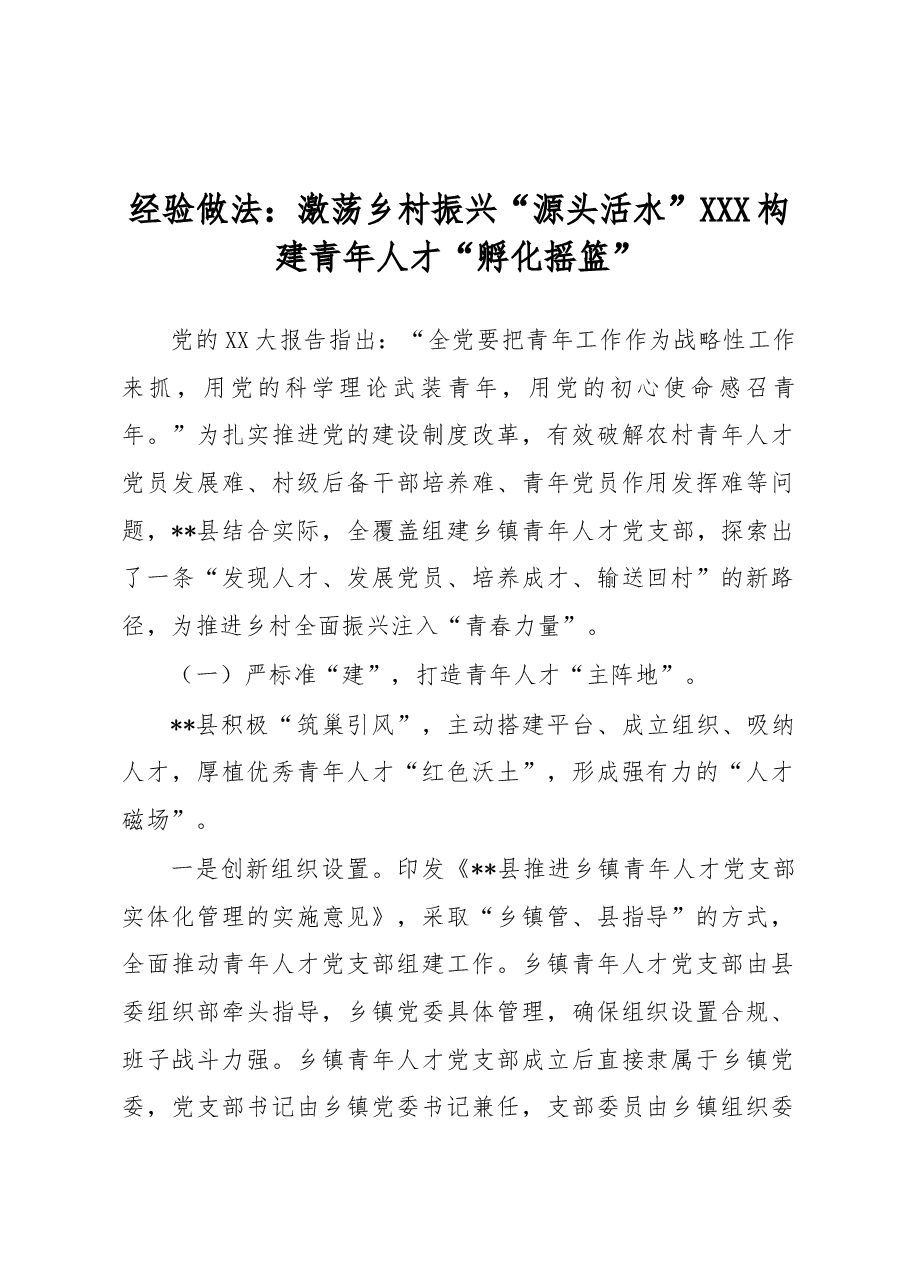 经验做法:激荡乡村振兴“源头活水” 构建青年人才“孵化摇篮”.docx,第1页预览